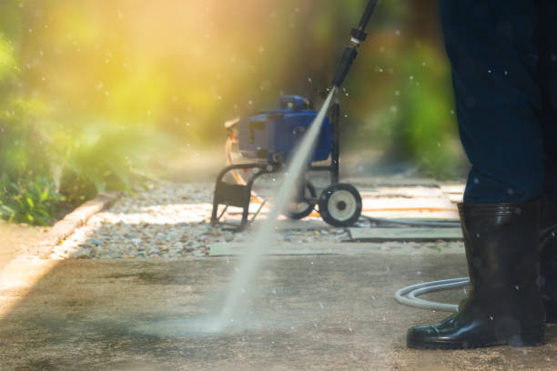 Best Fleet Vehicle Washing  in Walcott, IA